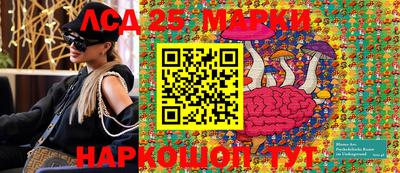 крисы Моздок