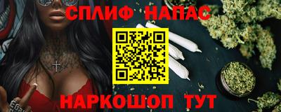 крисы Моздок