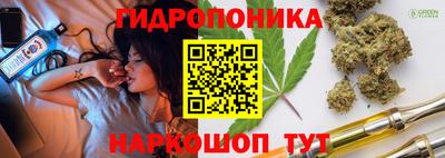 крисы Моздок