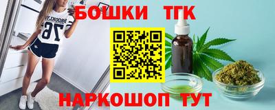 крисы Моздок