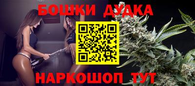 крисы Моздок