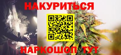 крисы Моздок