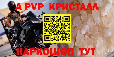 крисы Моздок