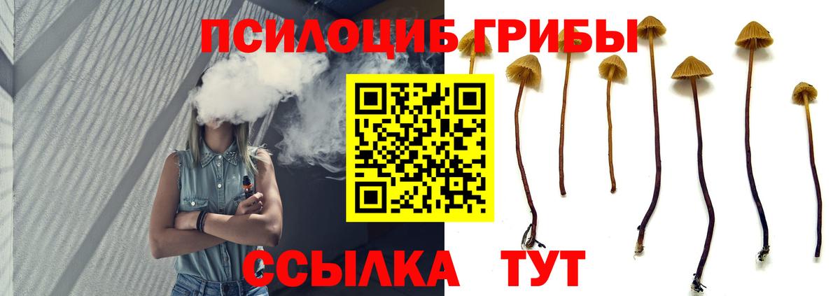 Псилоцибиновые грибы ЛСД Чайковский