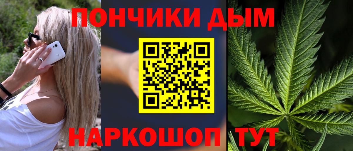 Конопля гибрид Чайковский